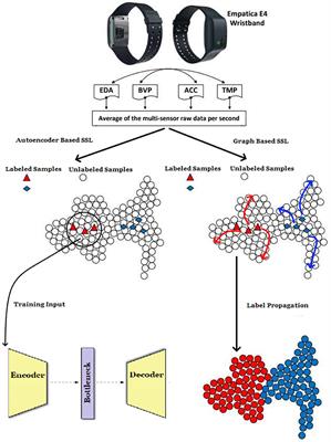 Relieving the burden of intensive labeling for stress monitoring in the wild by using semi-supervised learning